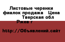 Листовые черенки фиалок продажа › Цена ­ 40-80 - Тверская обл., Ржев г.  »    